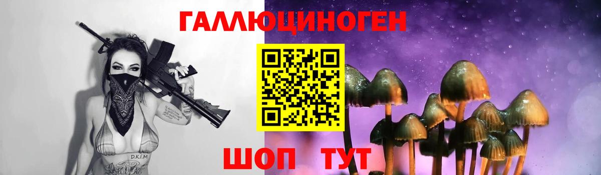 как найти закладки  Вход с VPN  Зеленокумск  Псилоцибиновые грибы Psilocybine cubensis 